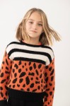 Animal Print Πουλόβερ 