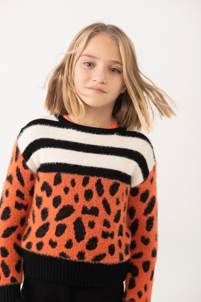 Animal Print Πουλόβερ 