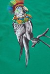 Boboli Πράσινο T-shirt Παπαγάλος