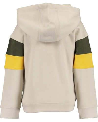 Φούτερ Μπλούζα με Κουκούλα Seek the North