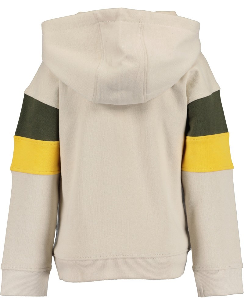 Φούτερ Μπλούζα με Κουκούλα Seek the North