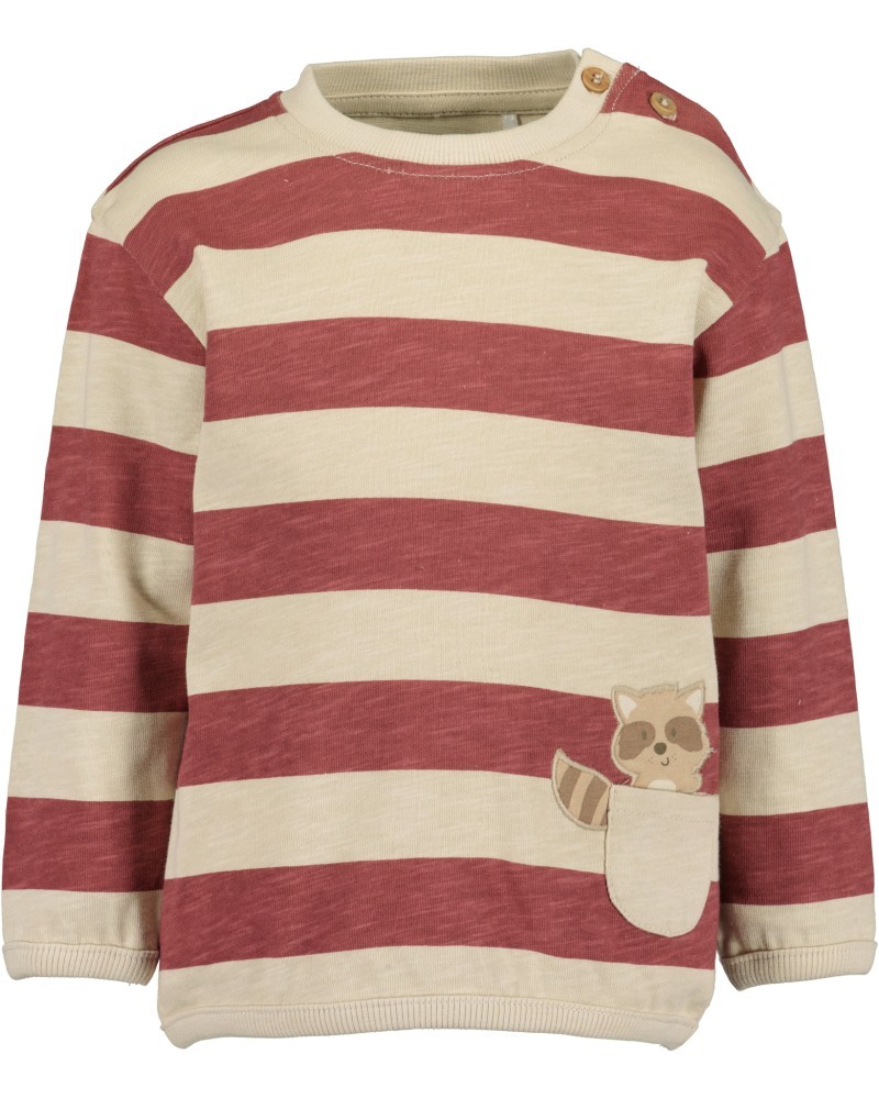 Βρεφική Μπλούζα Ριγέ Ρακούν