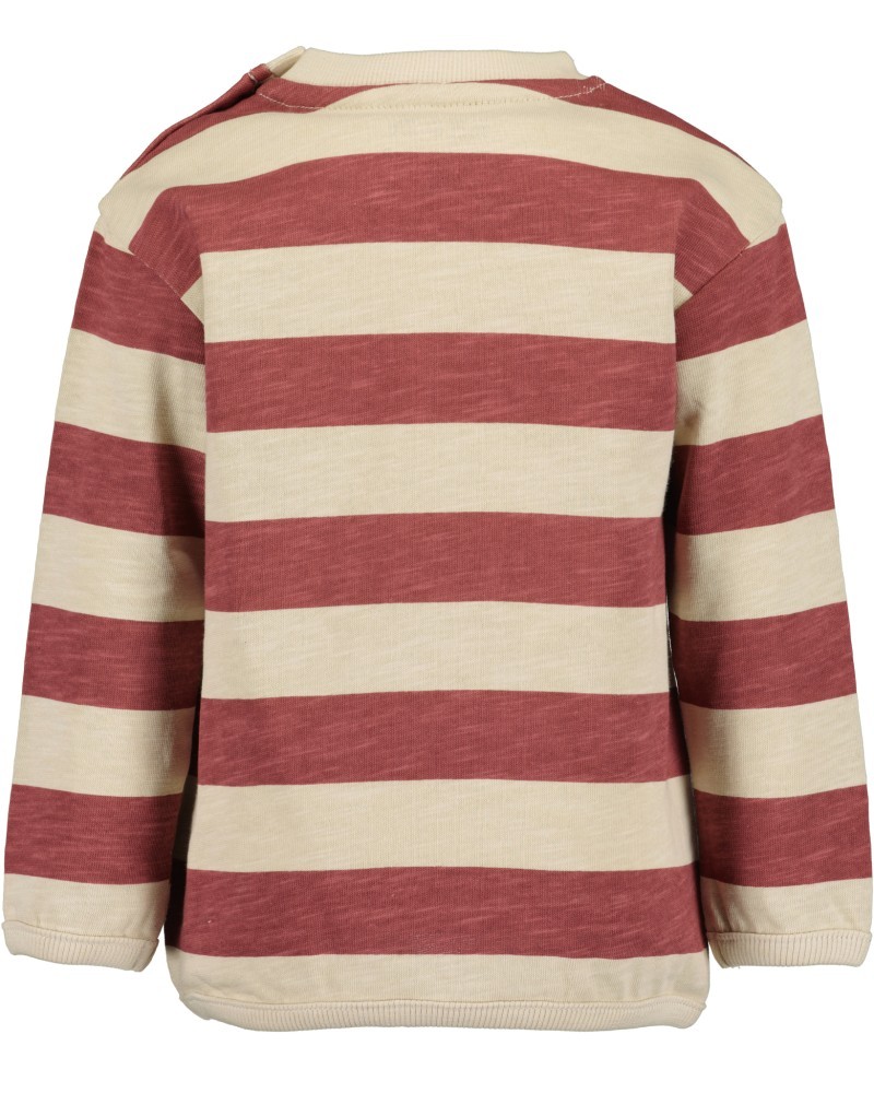 Βρεφική Μπλούζα Ριγέ Ρακούν