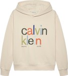 Φούτερ Μπλούζα Color Logo Graphic Terry Hoodie