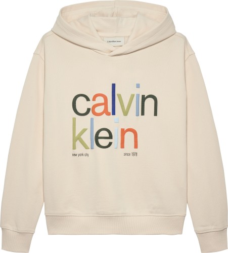 Φούτερ Μπλούζα Color Logo Graphic Terry Hoodie