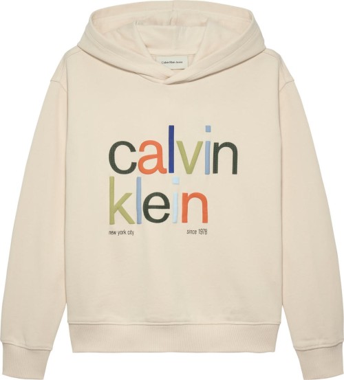 Φούτερ Μπλούζα Color Logo Graphic Terry Hoodie