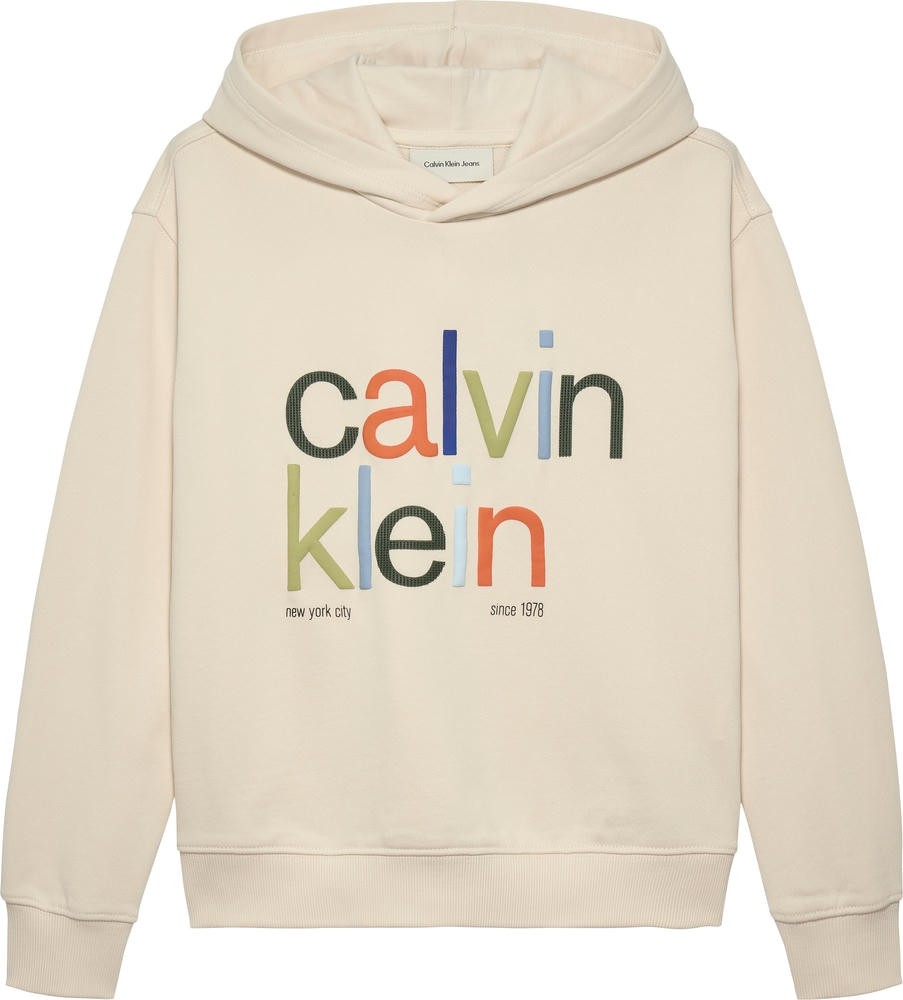 Φούτερ Μπλούζα Color Logo Graphic Terry Hoodie