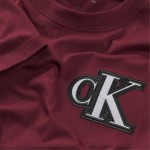 T-Shirt με Λογότυπο Festive Graphic