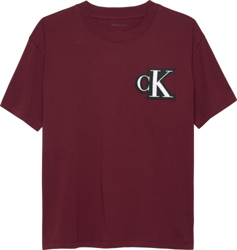 T-Shirt με Λογότυπο Festive Graphic