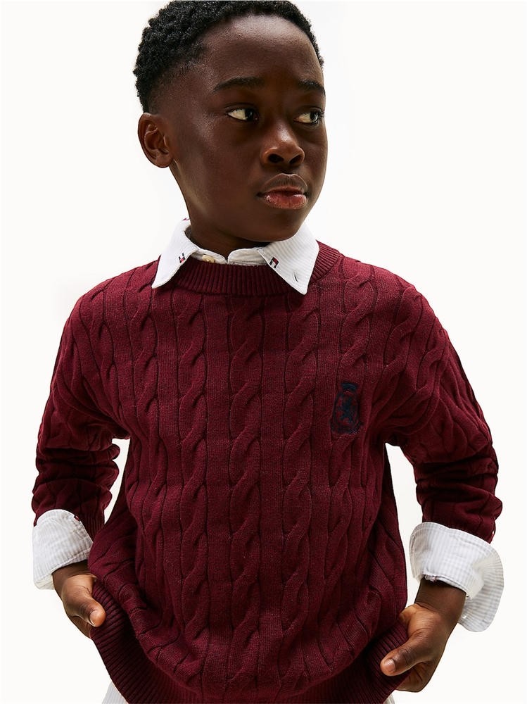 Πουλόβερ Cable Crest