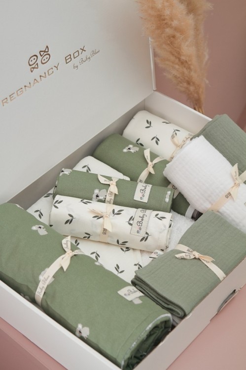 Pregnancy Box Coala & Olive Leaves