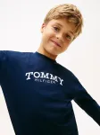 Tommy Hilfiger Μακρυμάνικο Μπλε T-Shirt Monotype Print