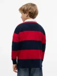 Tommy Hilfiger Ριγέ Μπλούζα Polo Slub Rugby