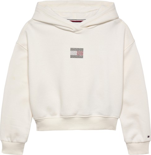 Φούτερ Μπλούζα με κουκούλα Diamanté Flag