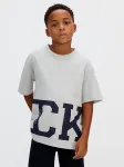 Calvin Klein Γκρι T-shirt Varsity