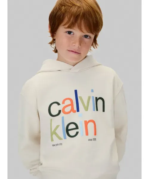 Φούτερ Μπλούζα Color Logo Graphic Terry Hoodie